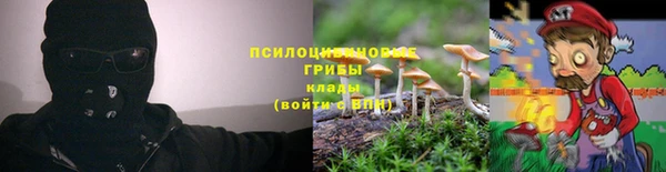 меф Алексин