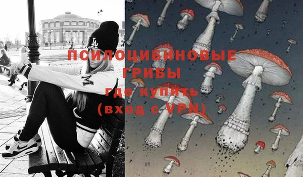 бошки Абдулино