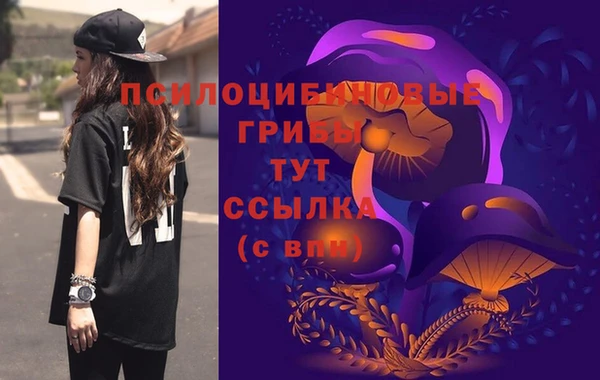 бошки Абдулино